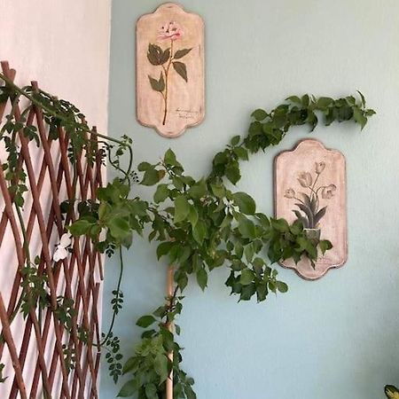 Nina'S House In The Center Of فولوس المظهر الخارجي الصورة